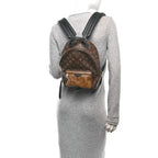 Reverse Monogram Palm Springs Backpack PM