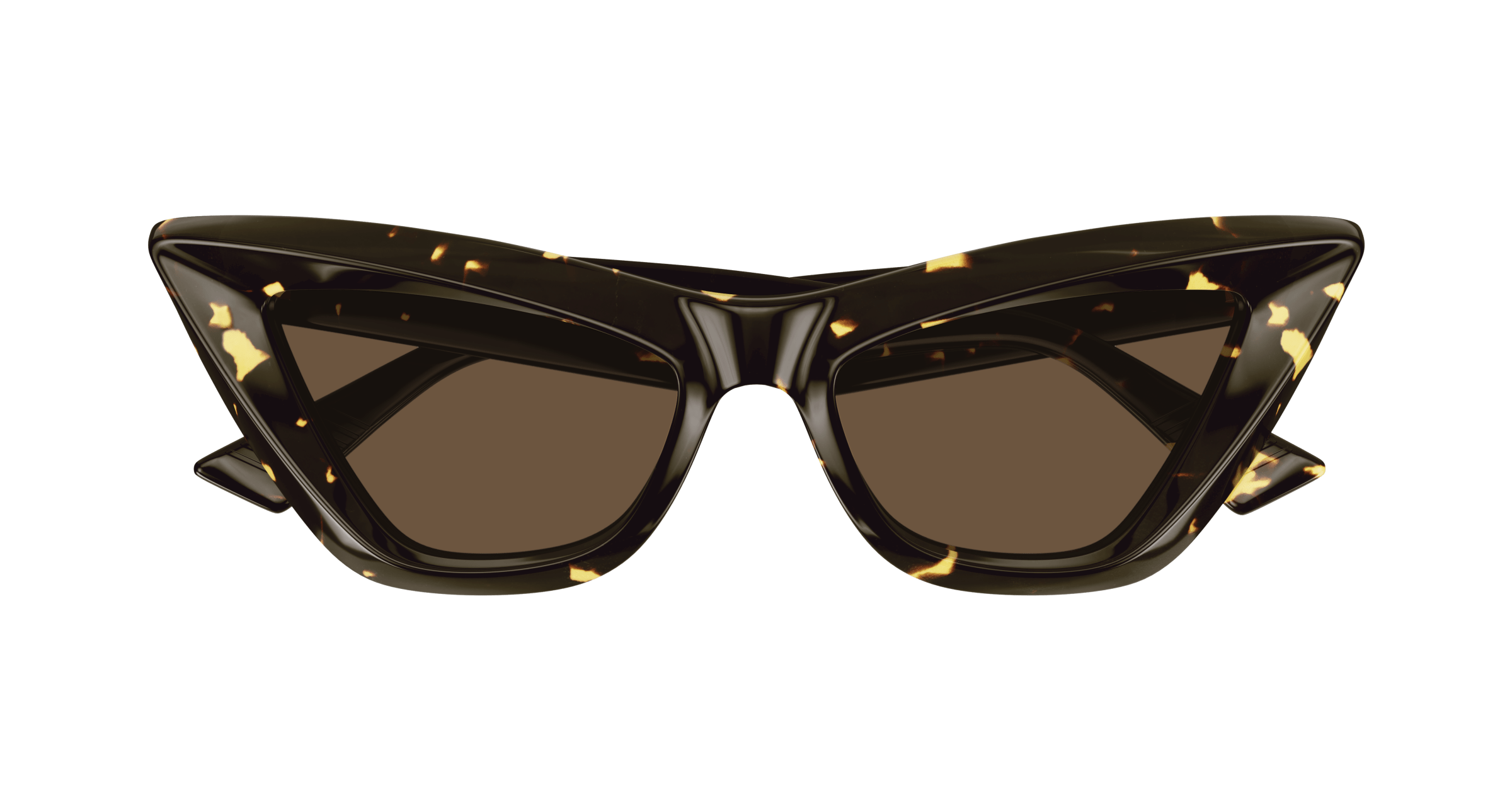 Bottega Veneta BV1101S