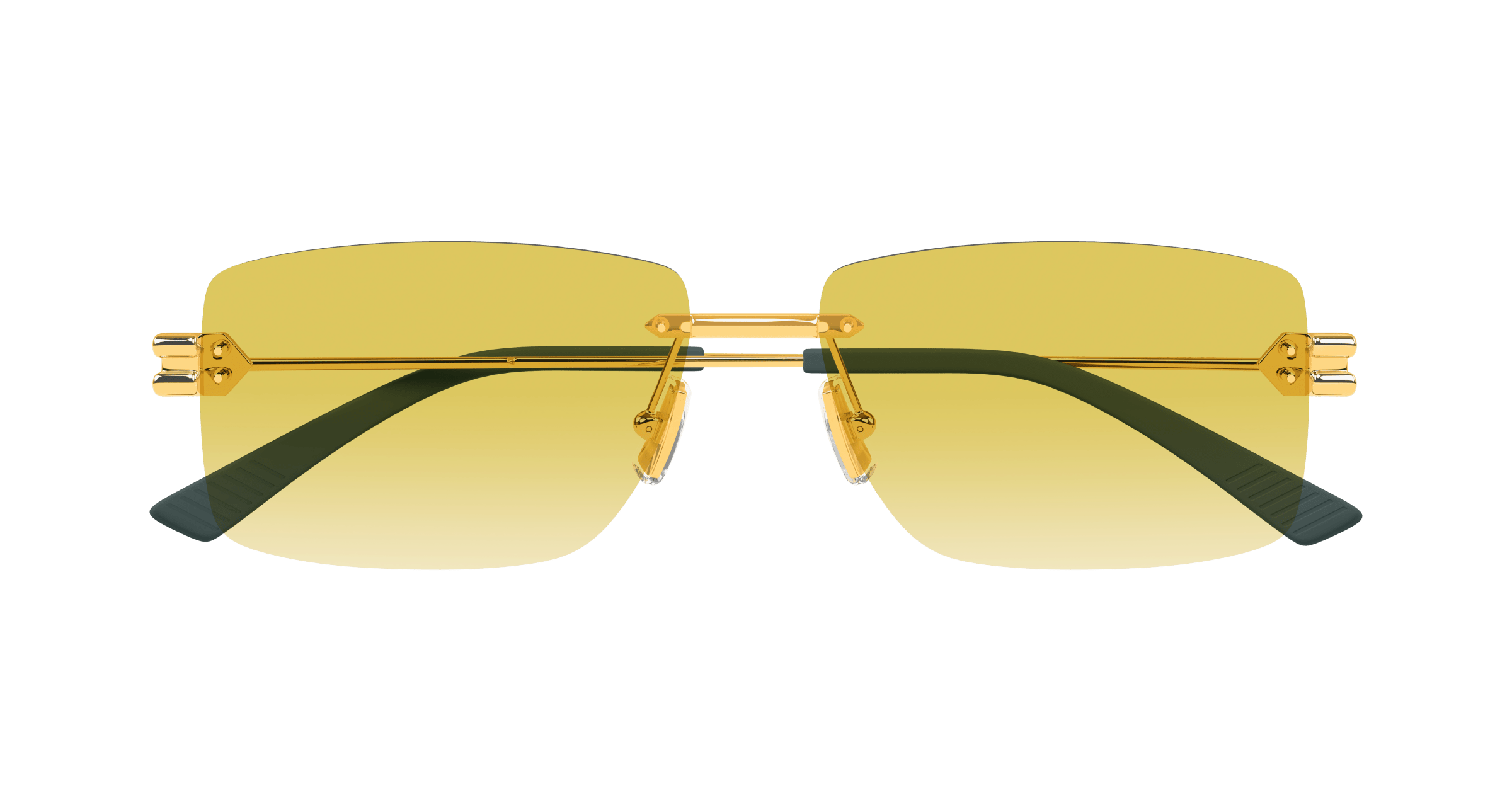 Bottega Veneta BV1126S
