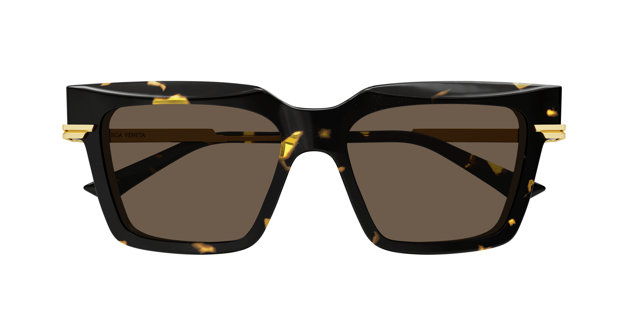 Bottega Veneta BV1242S