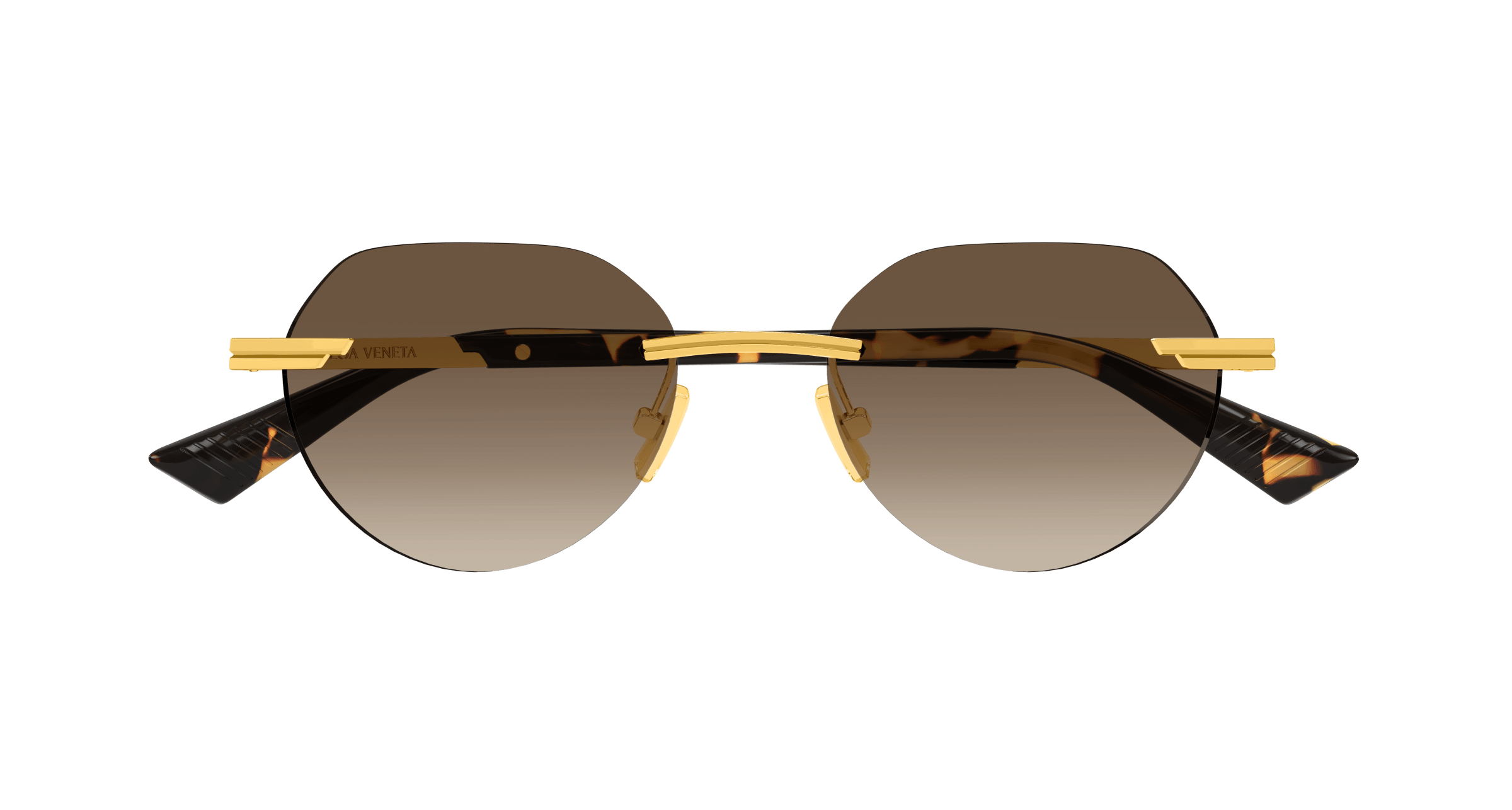 Bottega Veneta BV1379S