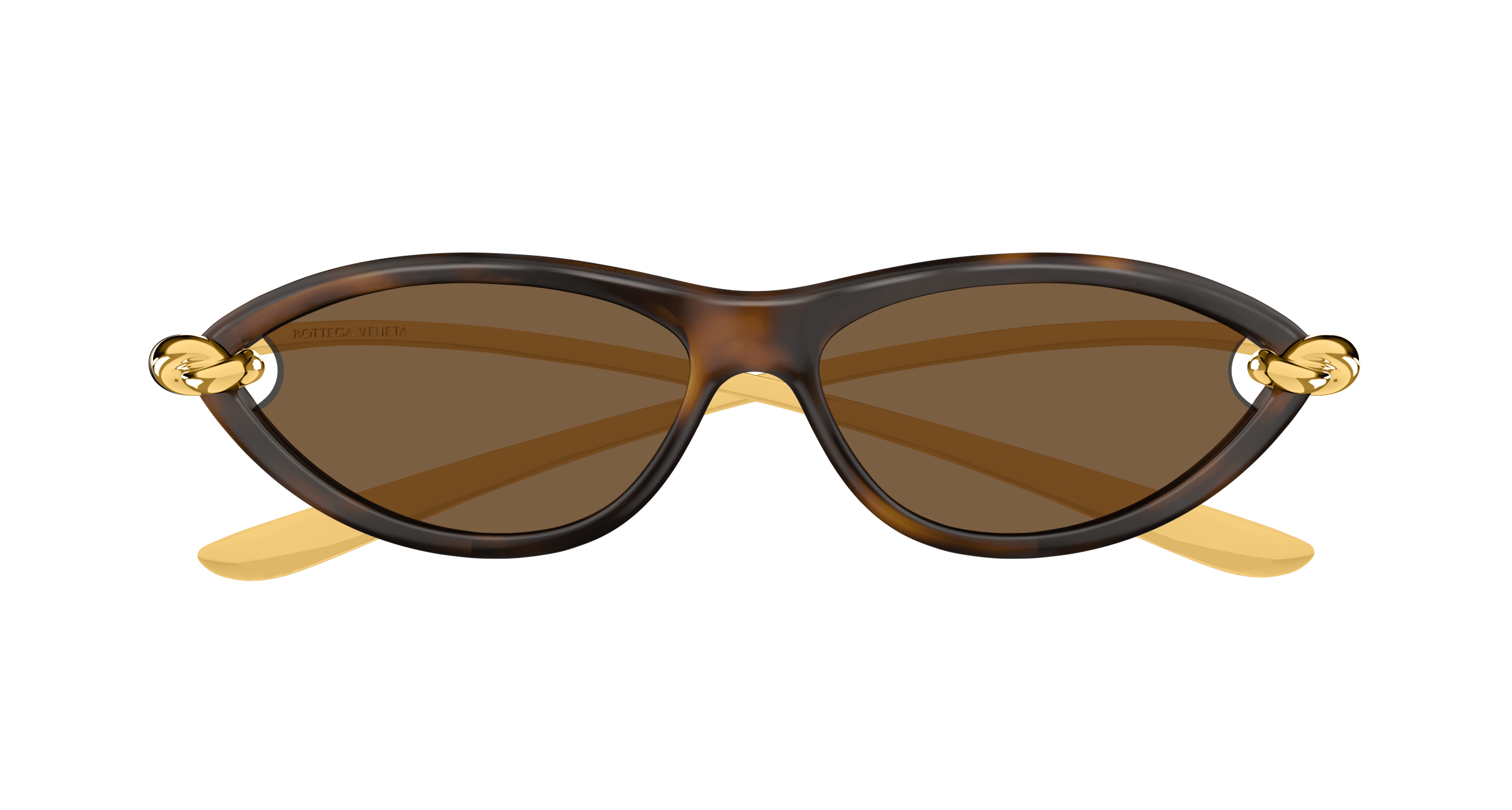 Bottega Veneta BV1390S