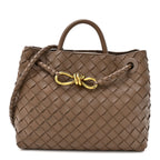 Nappa Intrecciato Small Andiamo Shoulder Bag Pinecone