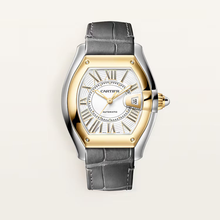 Roadster Large Model | 39mm, Two-Tone Stainless Steel & 18K Yellow Gold, White Dial