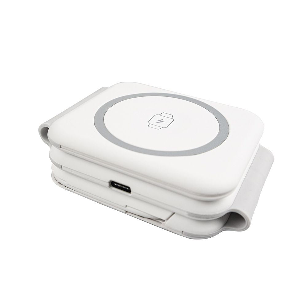 10 IN 1 Magsafe Wireless Charger Cable Tooling