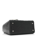 Ceramic Effect Deerskin Jeweled Swan Lady Dior Black