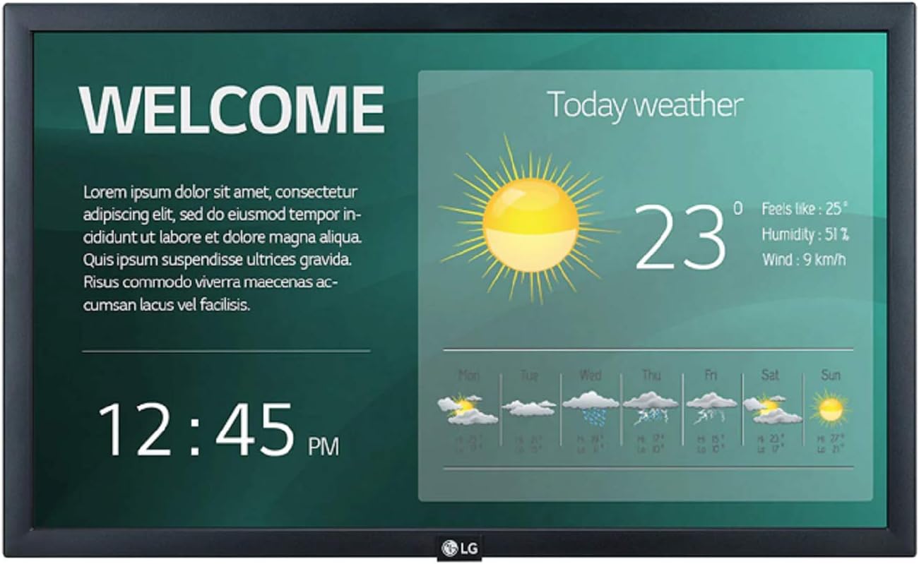 LG 22SM3G-B 22" 1920x1080 Full HD