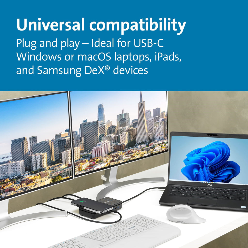 SD1700P USB-C Dual 4K Mobile