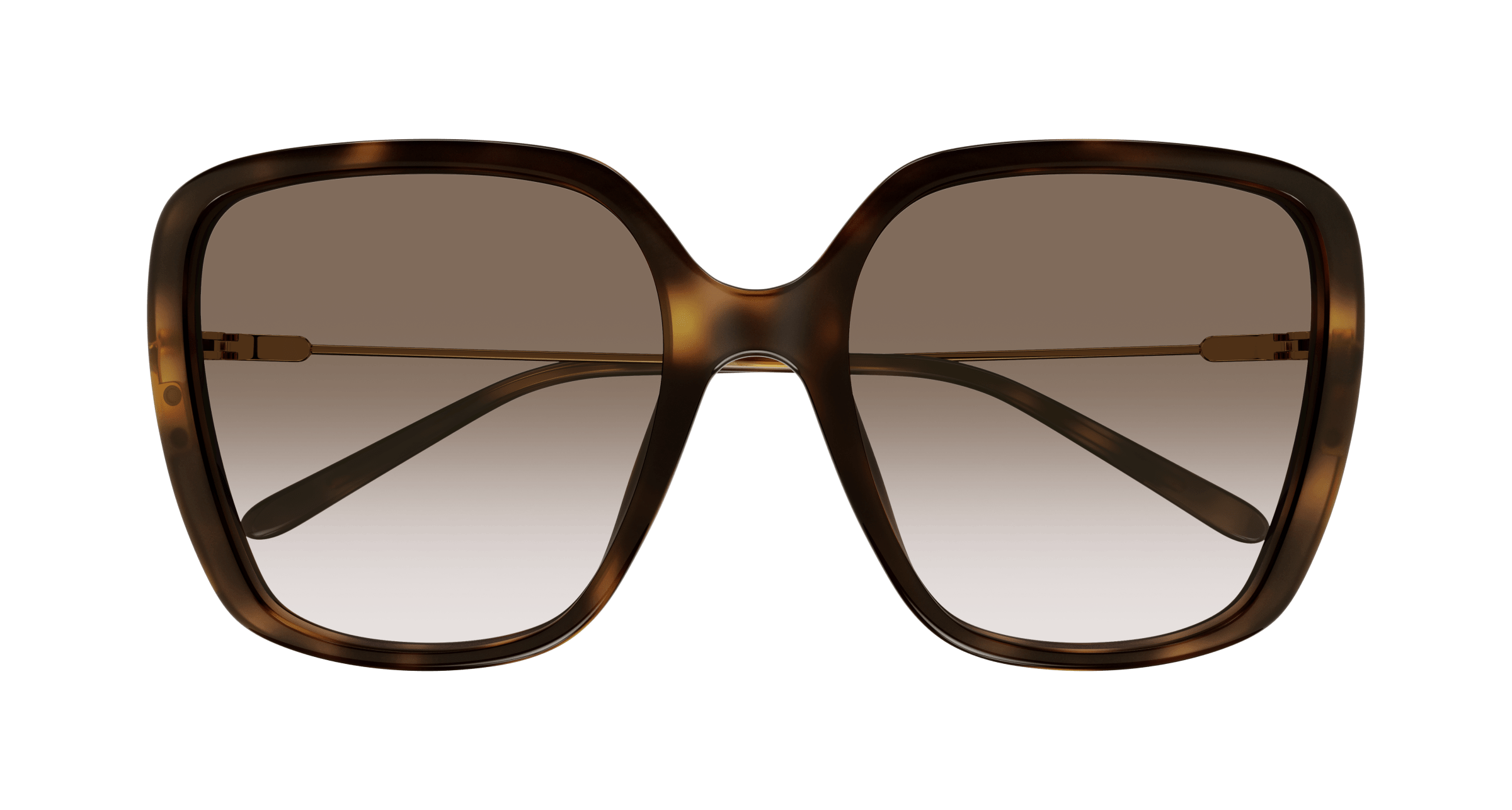 Chloé CH0173S