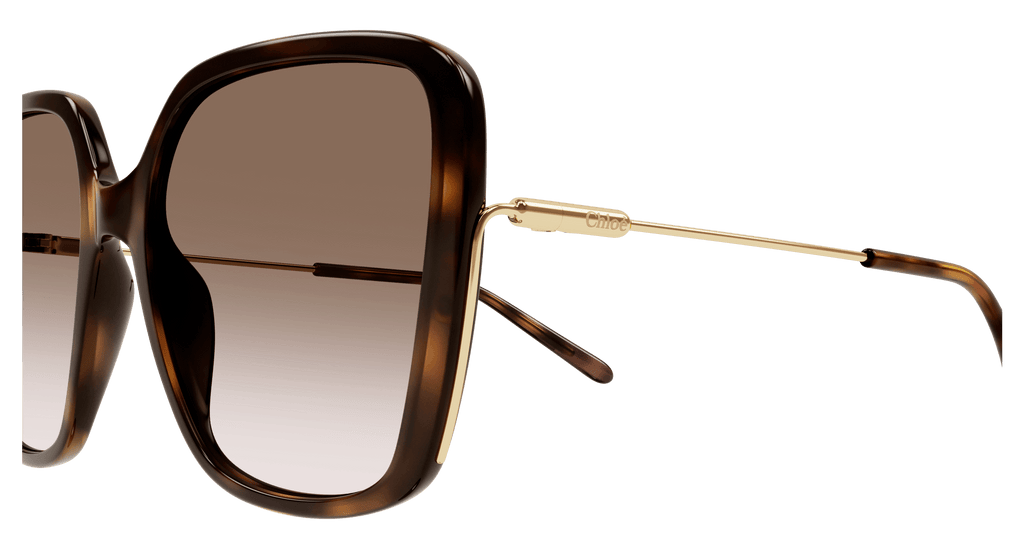 Chloé CH0173S