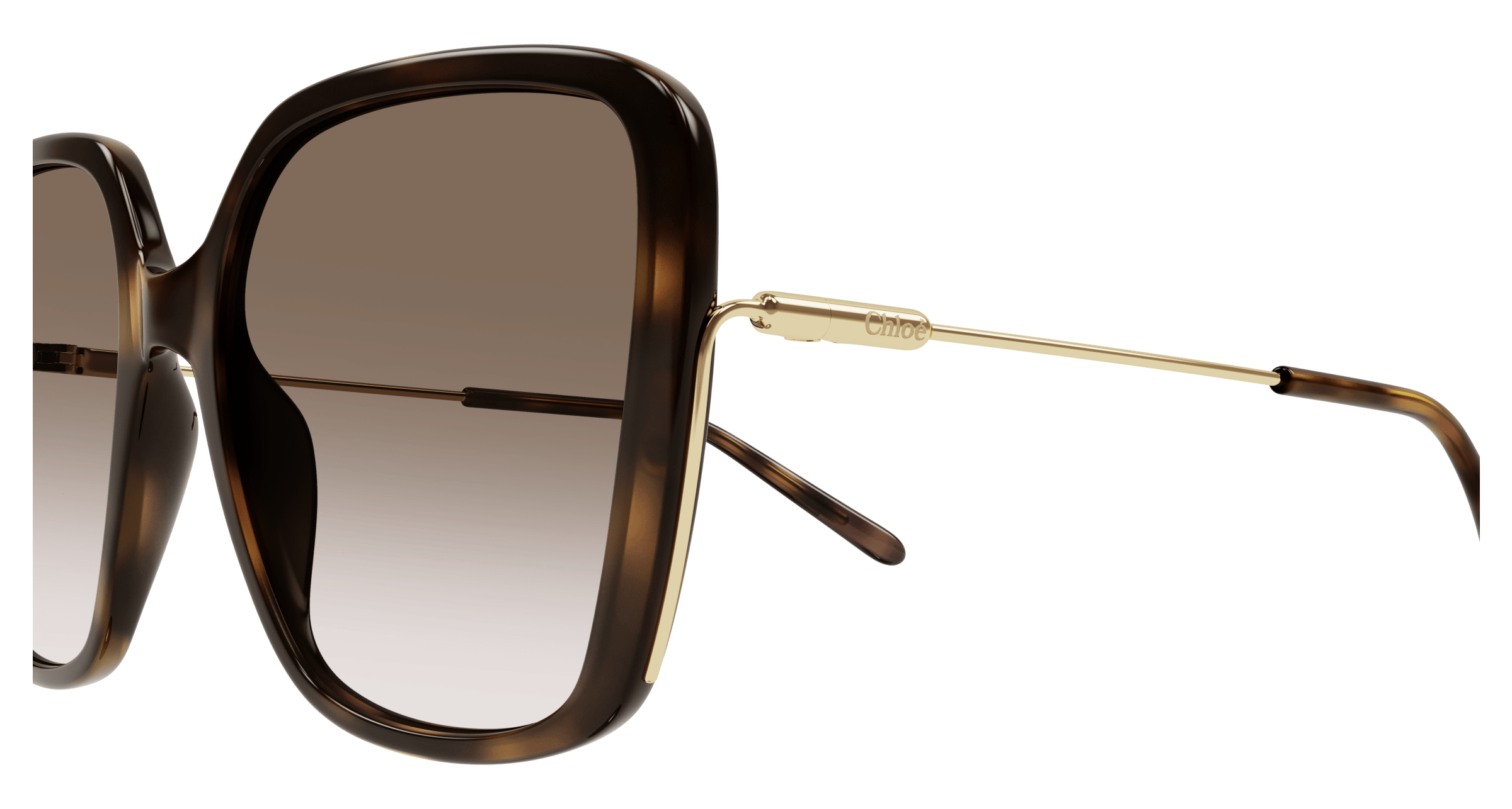 Chloé CH0173S