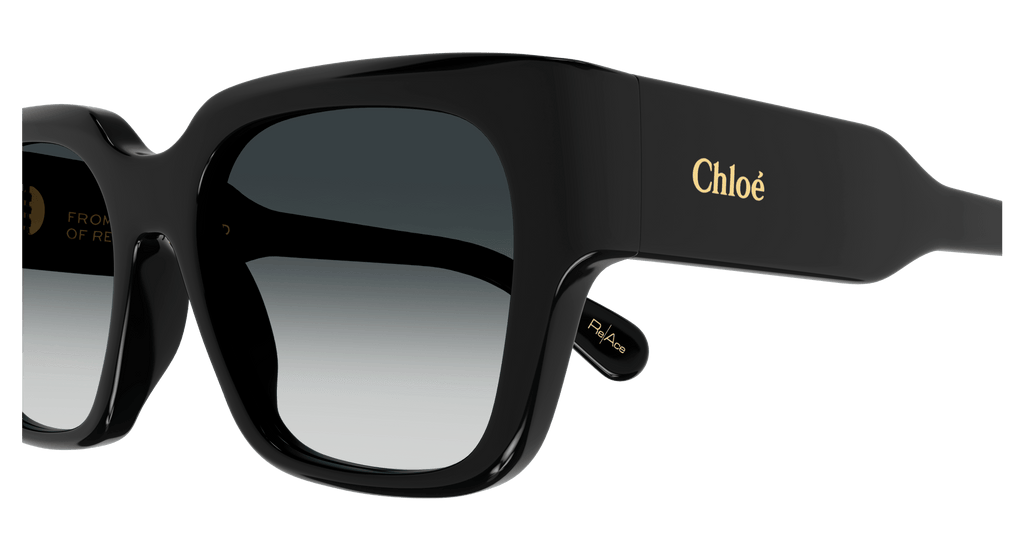 Chloé CH0190S