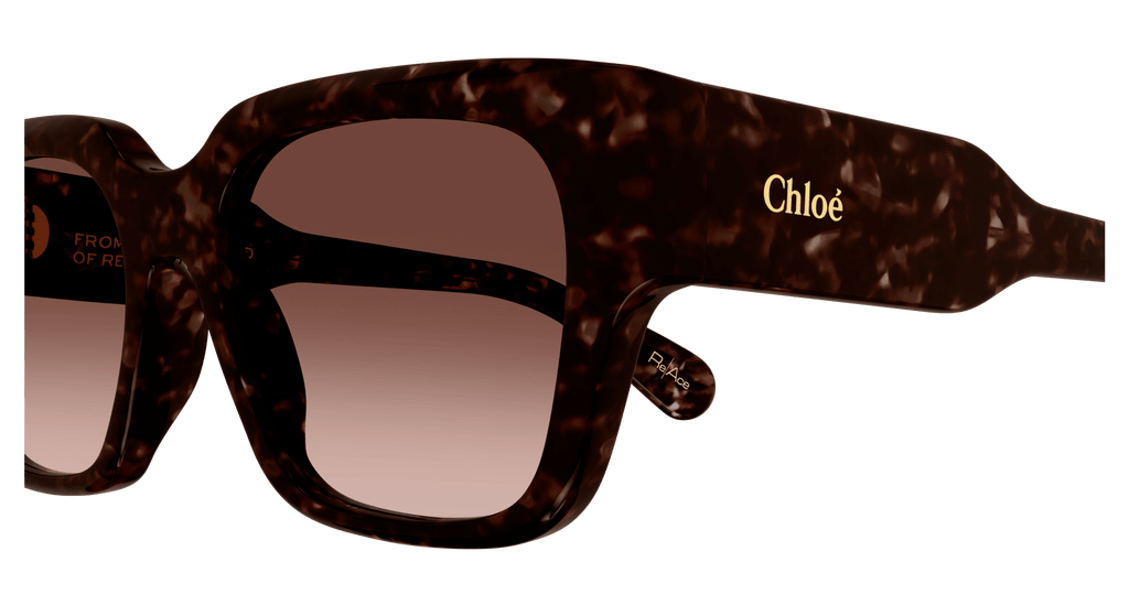 Chloé CH0190S