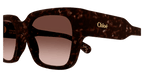 Chloé CH0190S