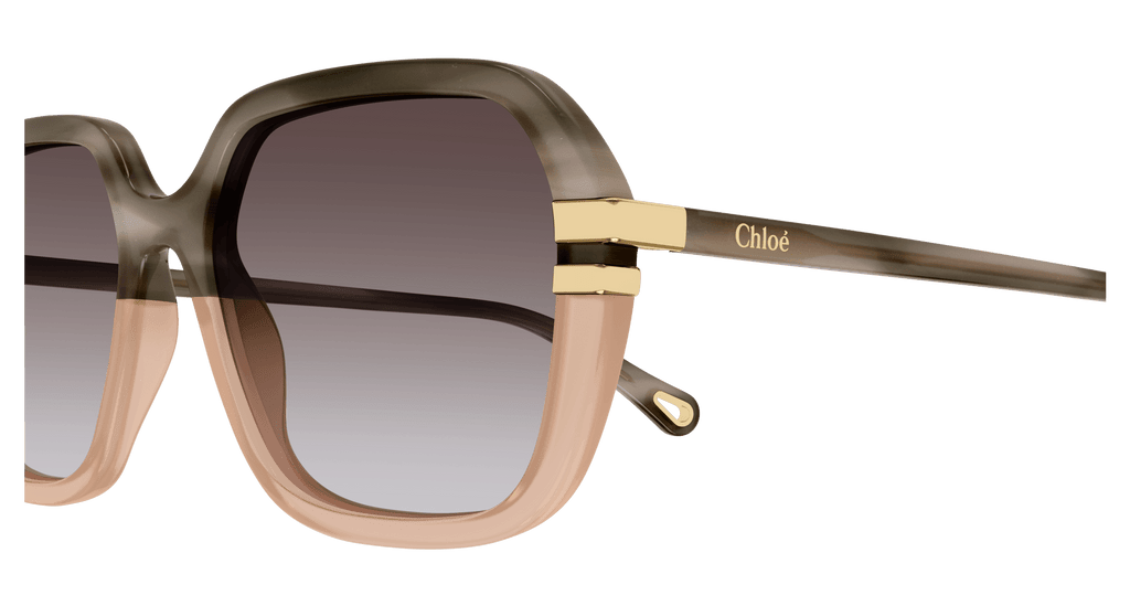 Chloé CH0204S