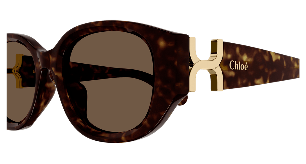 Chloé CH0237SK