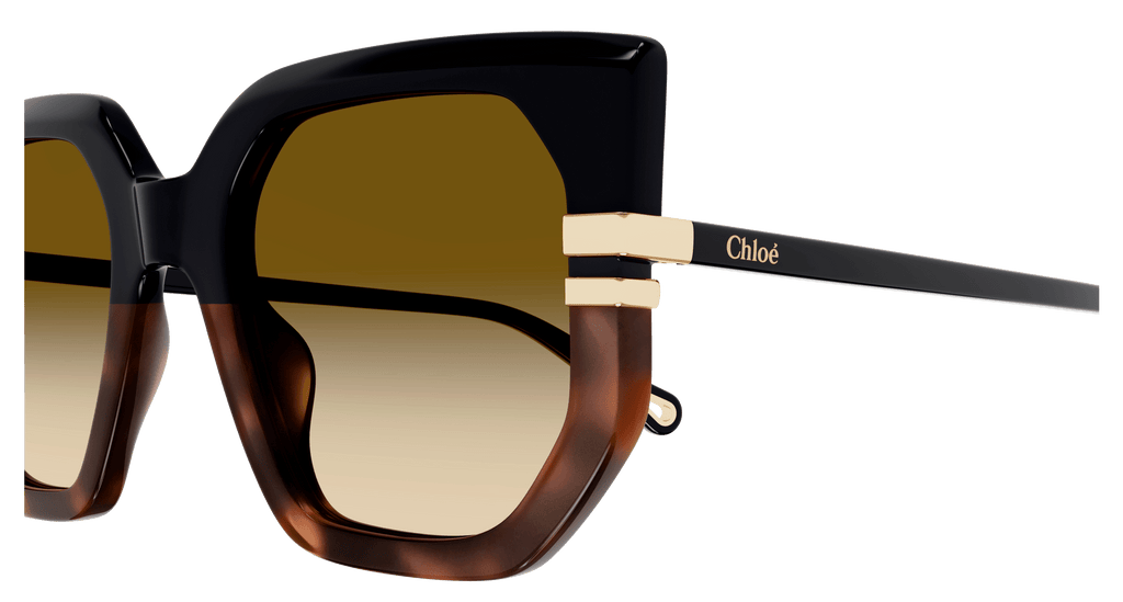 Chloé CH0240S