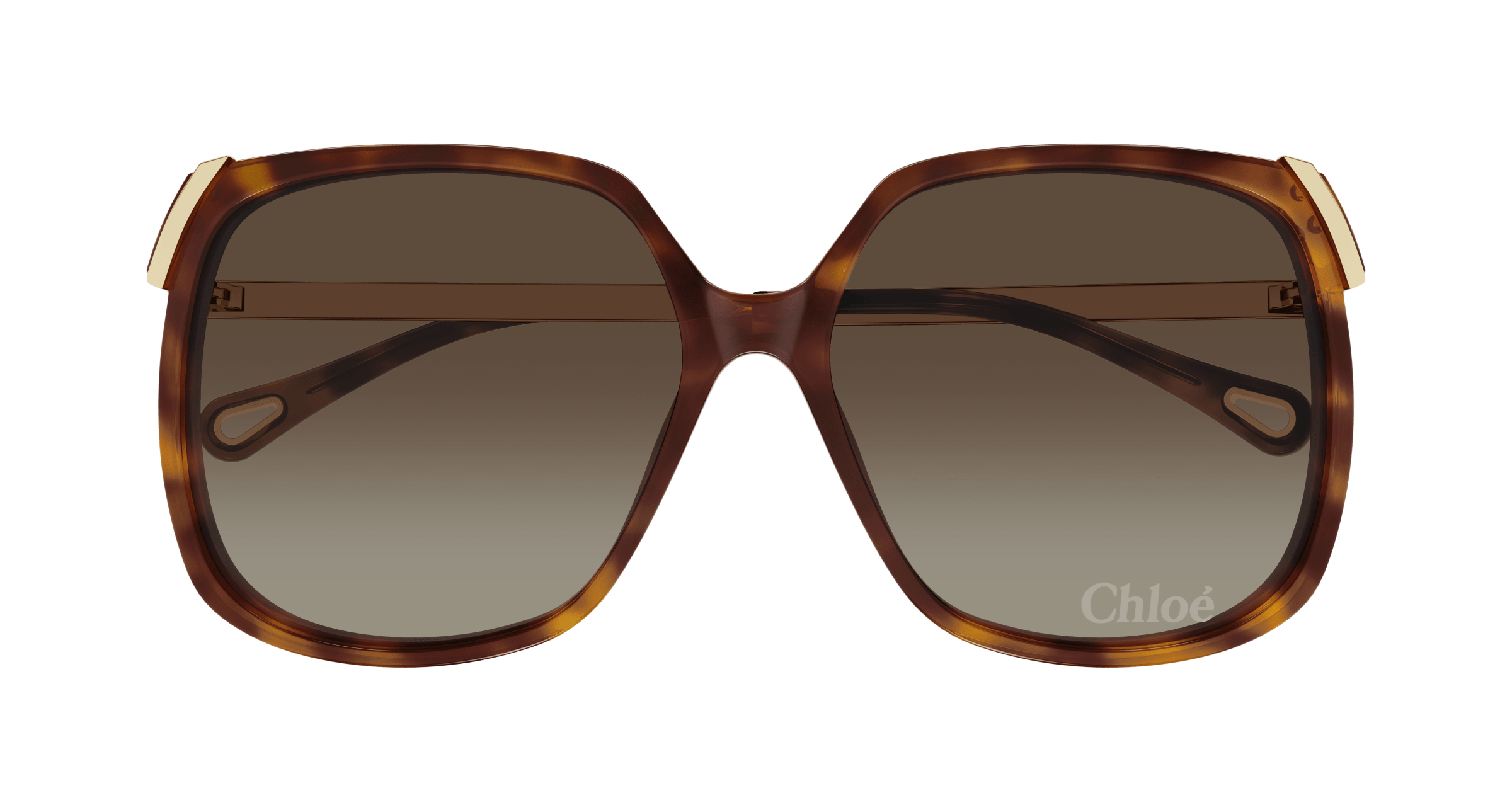Chloé CH0286S