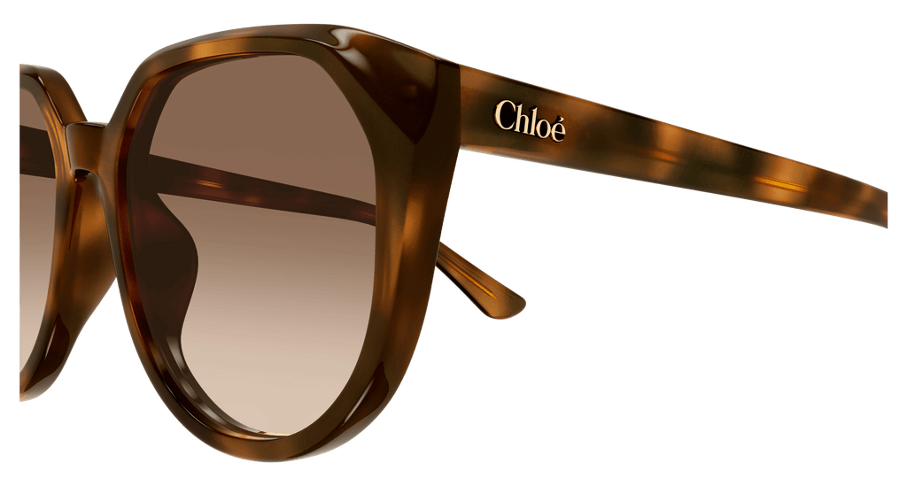 Chloé CH0291SK
