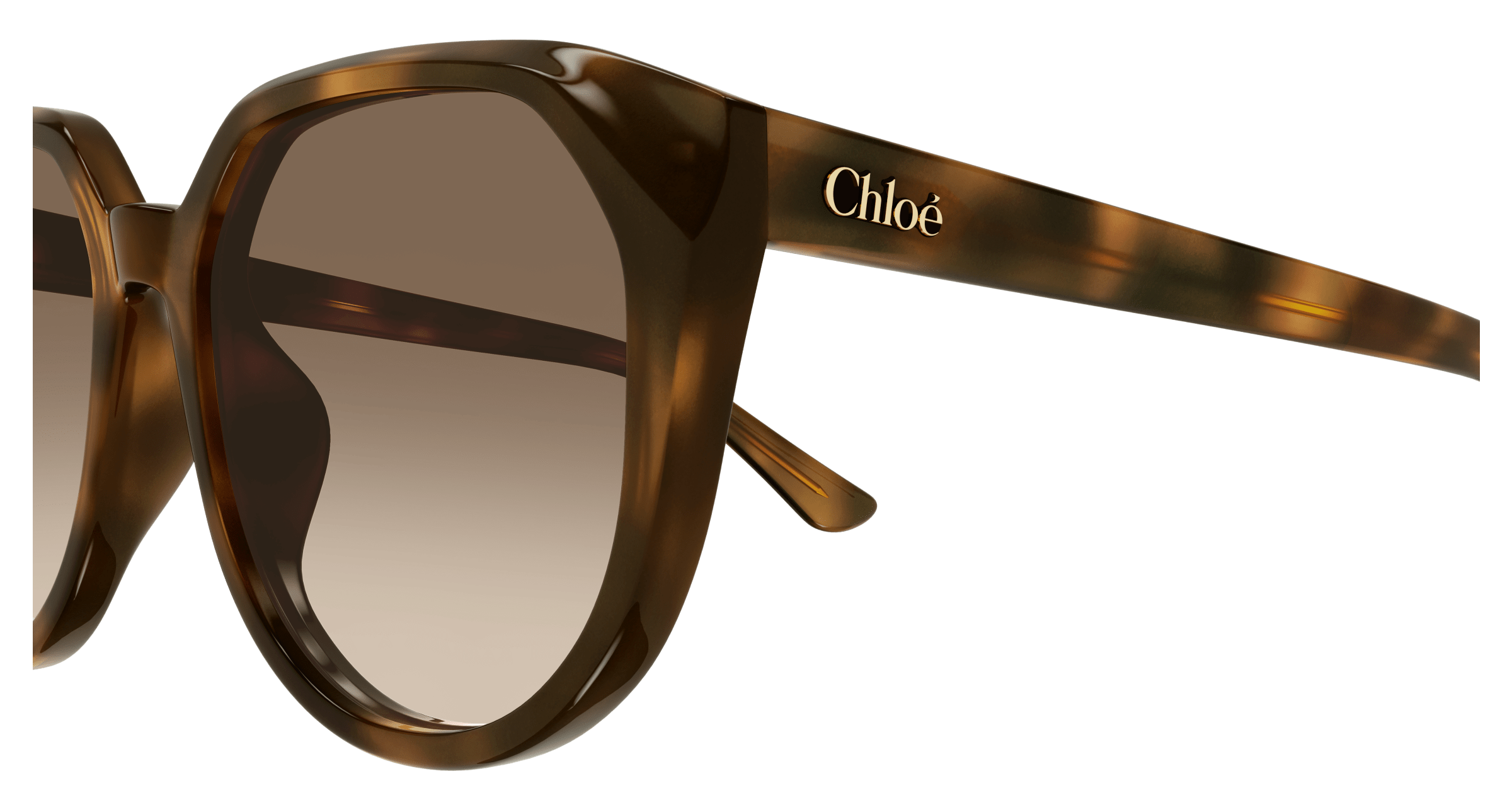 Chloé CH0291SK