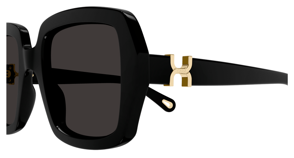 Chloé CH0301S