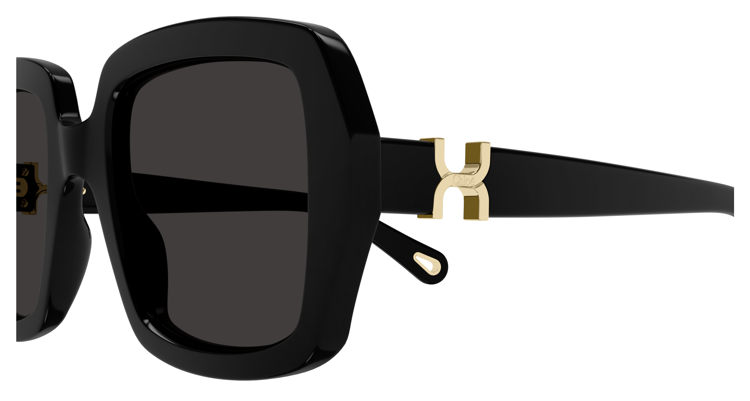 Chloé CH0301S