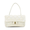 Chanel 'Wild Stitch' Handbag