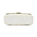 Chanel 'Wild Stitch' Handbag