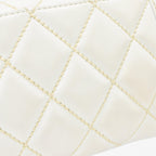 Chanel 'Wild Stitch' Handbag