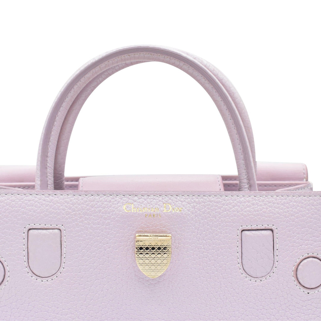 Christian Dior 'Diorever' Bag