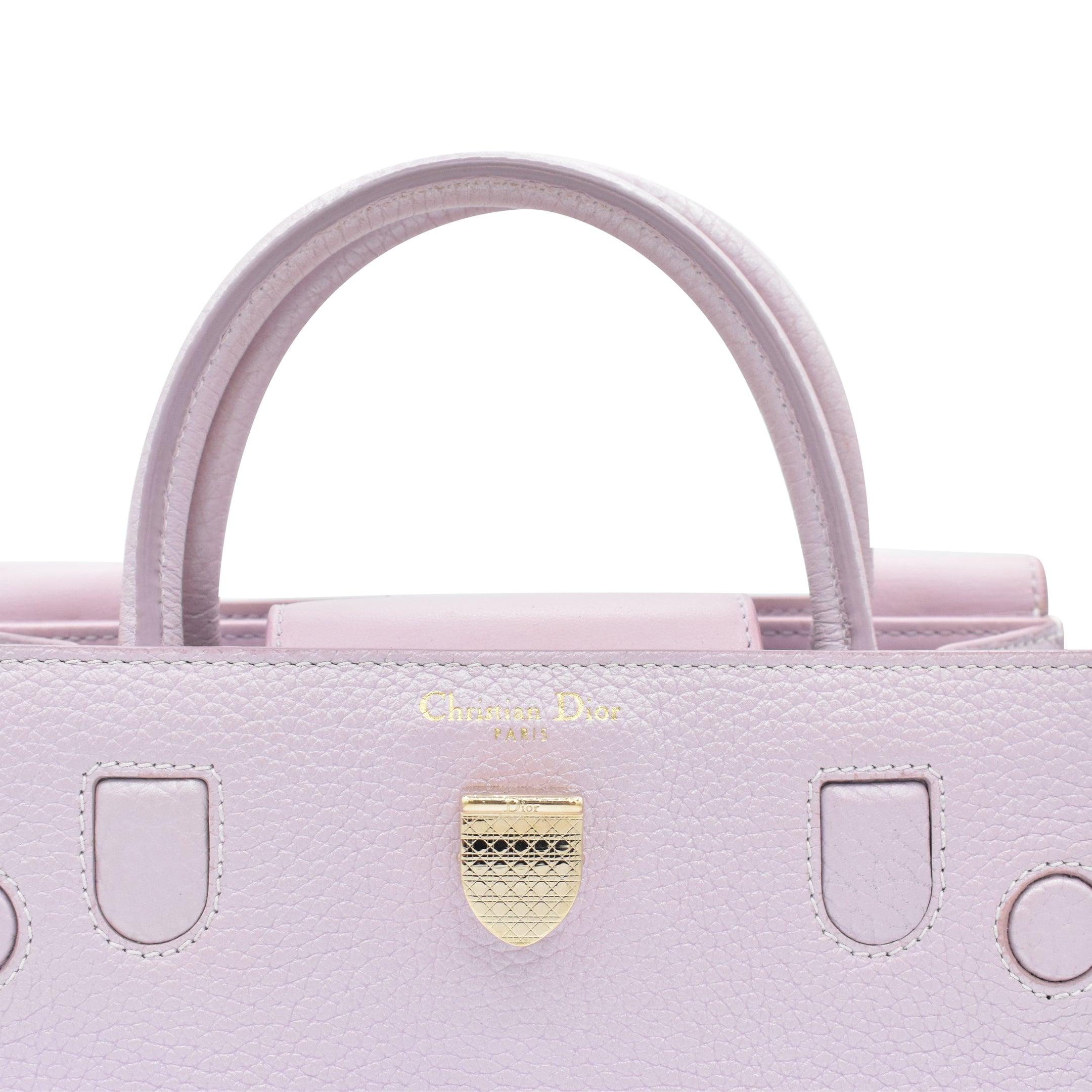 Christian Dior 'Diorever' Bag
