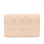 Christian Dior Wallet on Chain