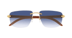 Cartier CT0040RS