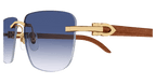 Cartier CT0040RS