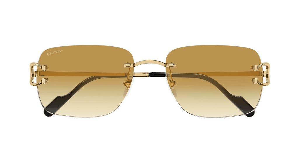 Cartier CT0330S