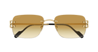 Cartier CT0330S