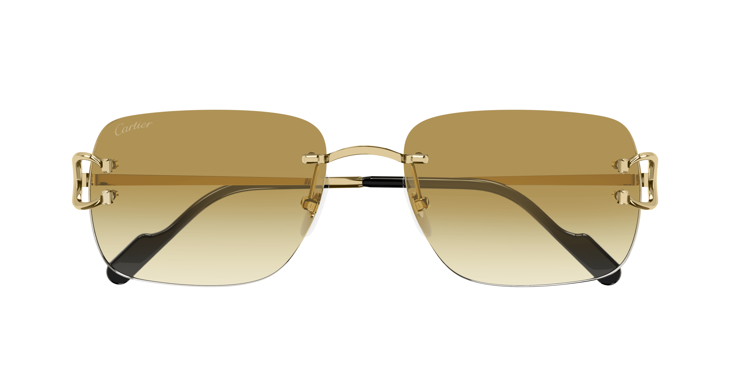 Cartier CT0330S