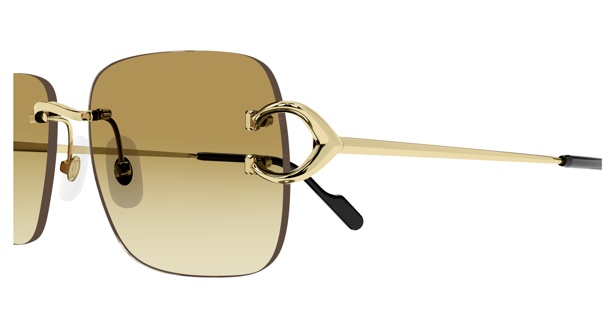 Cartier CT0330S