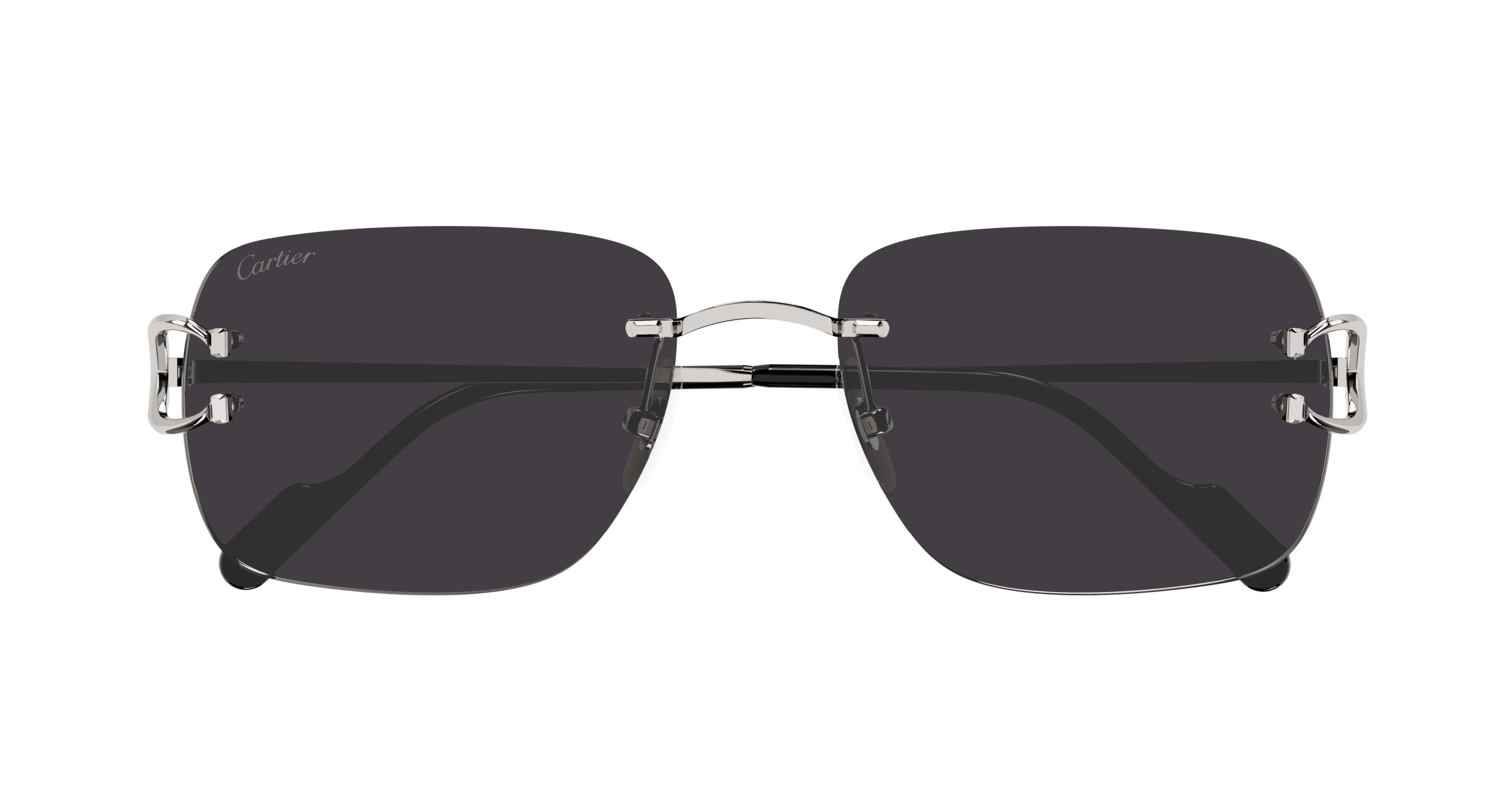 Cartier CT0330S