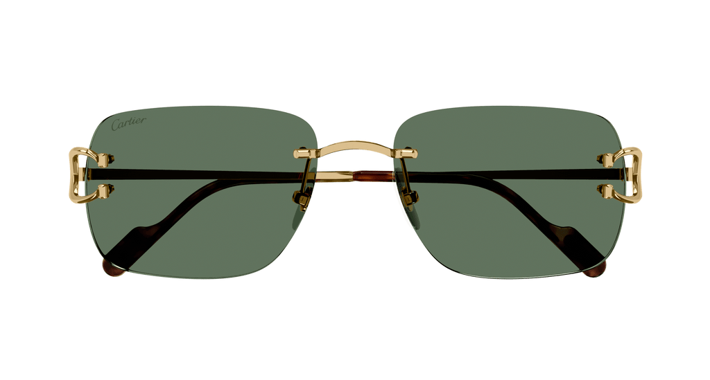 Cartier CT0330S