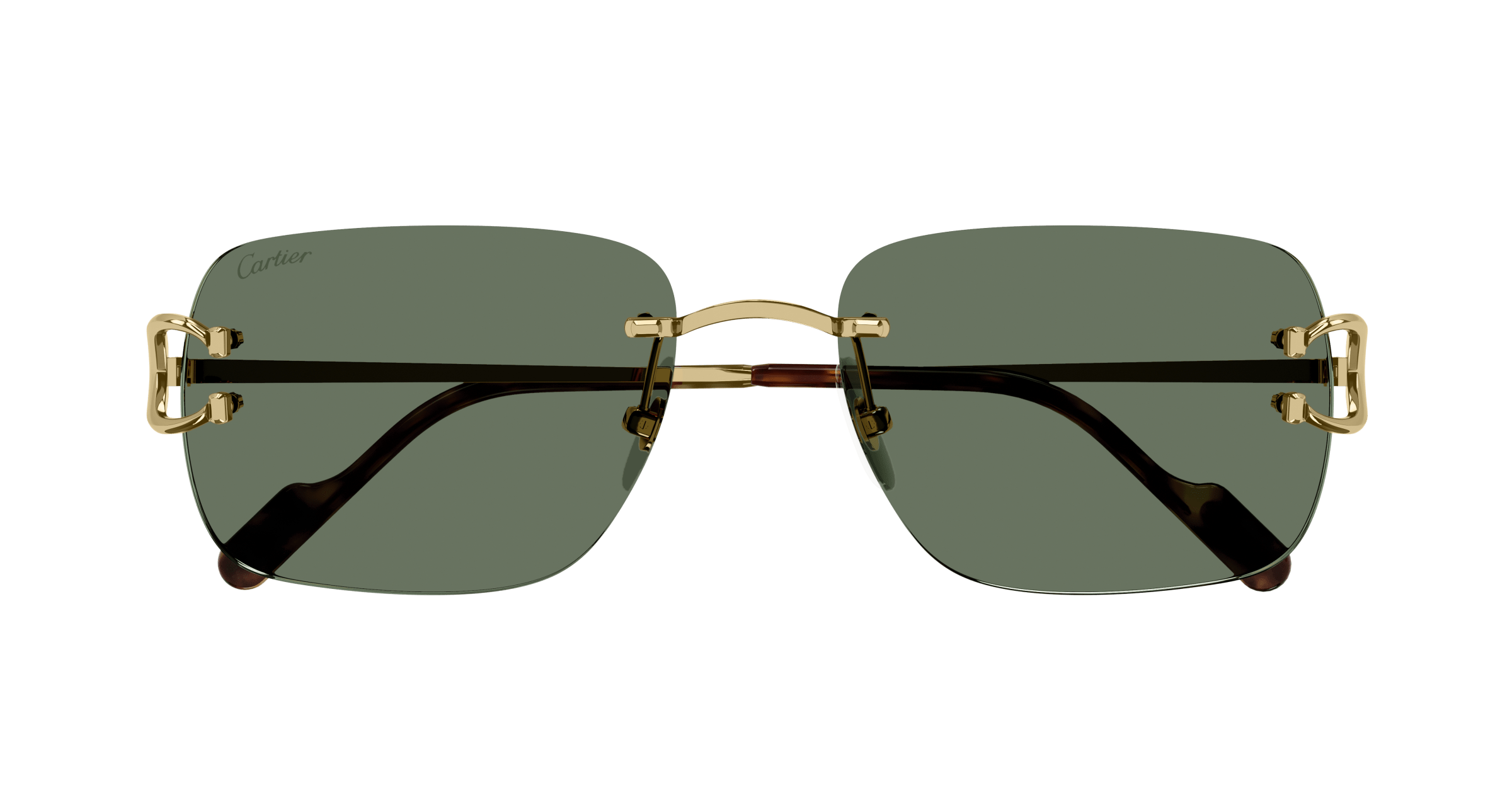 Cartier CT0330S
