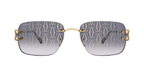 Cartier CT0330S