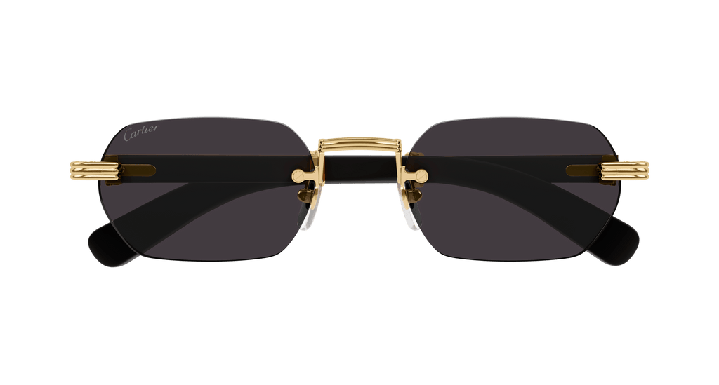 Cartier CT0362S
