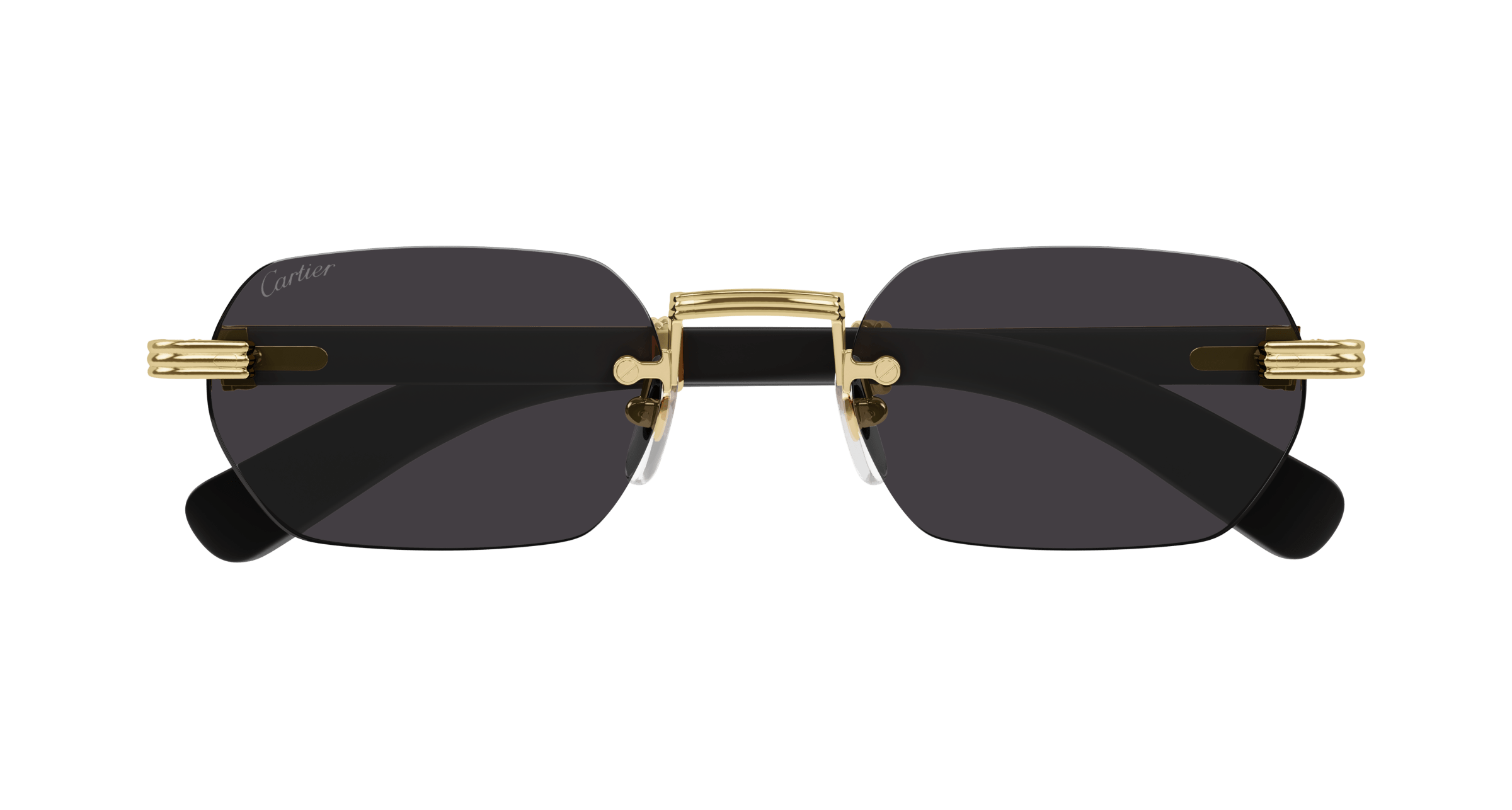 Cartier CT0362S