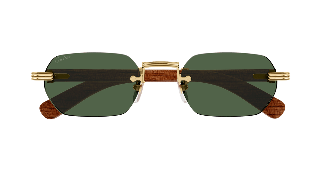 Cartier CT0362S