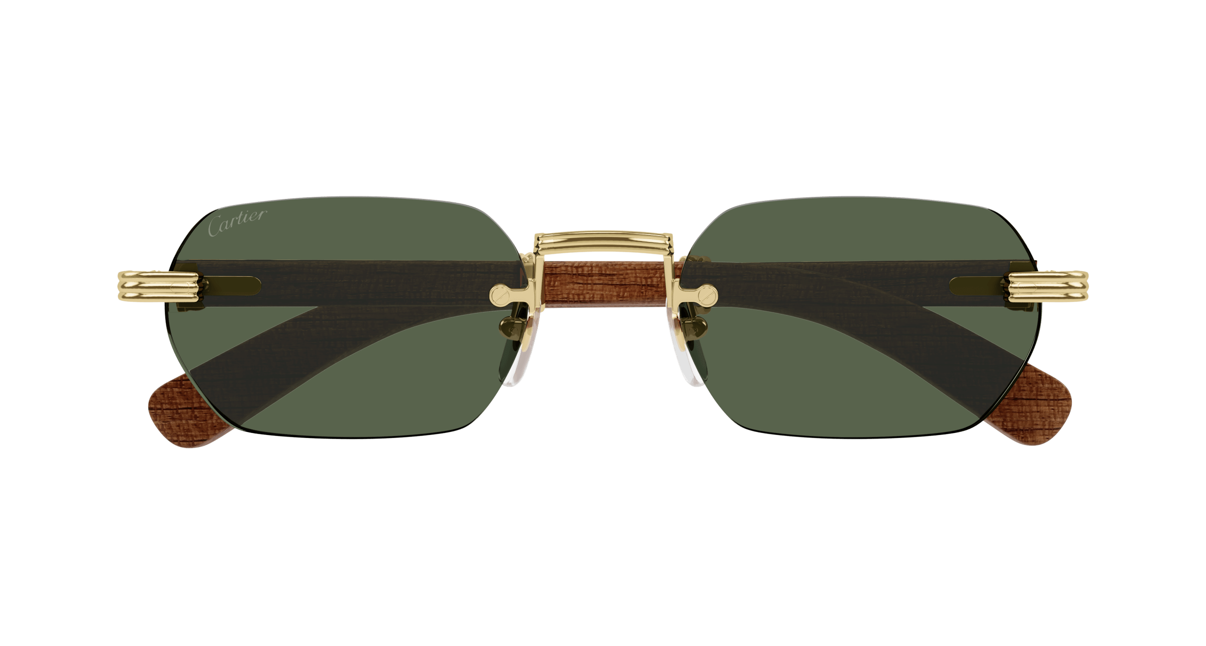 Cartier CT0362S