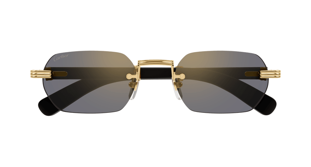 Cartier CT0362S