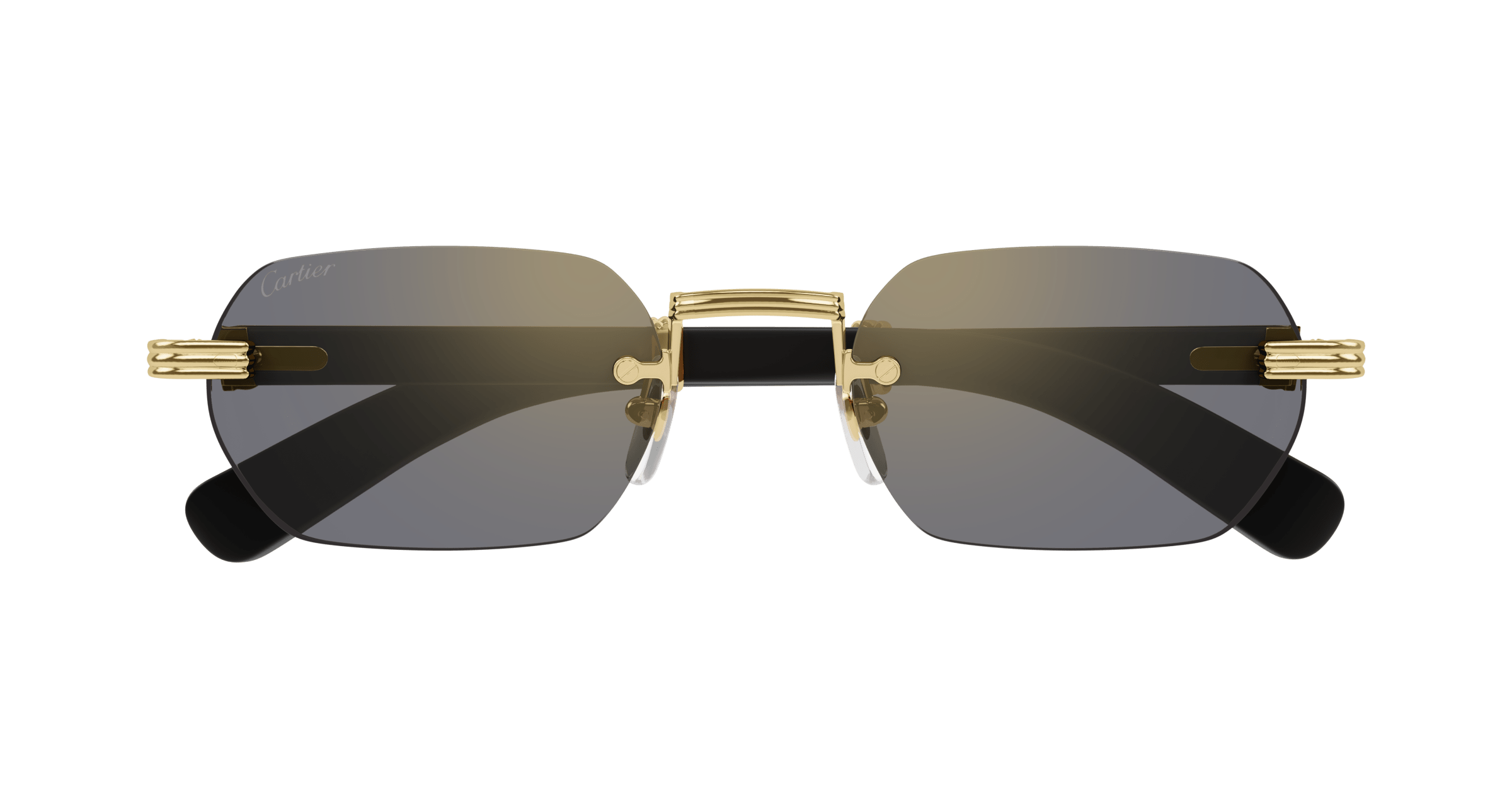 Cartier CT0362S
