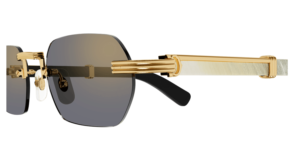 Cartier CT0362S