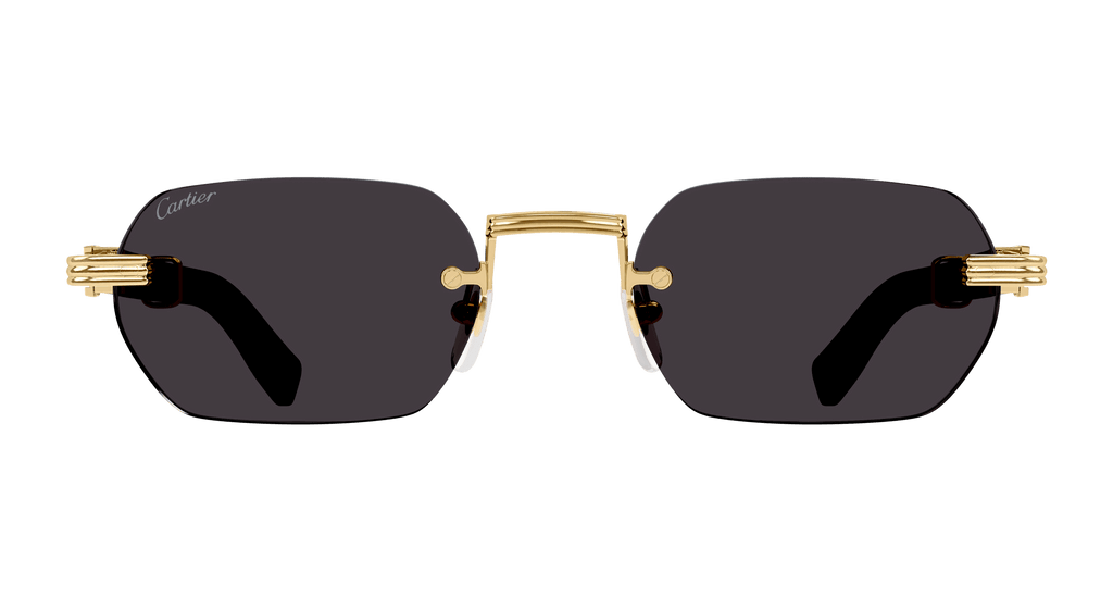 Cartier CT0362S